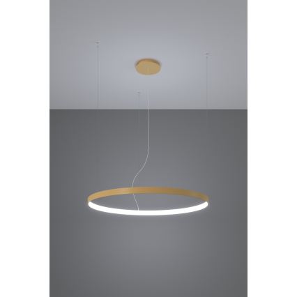 Thoro TH.181 - LED  Lámpara colgante RIO LED /50W/230V CRI 95 4000K diá. 78 cm dorado