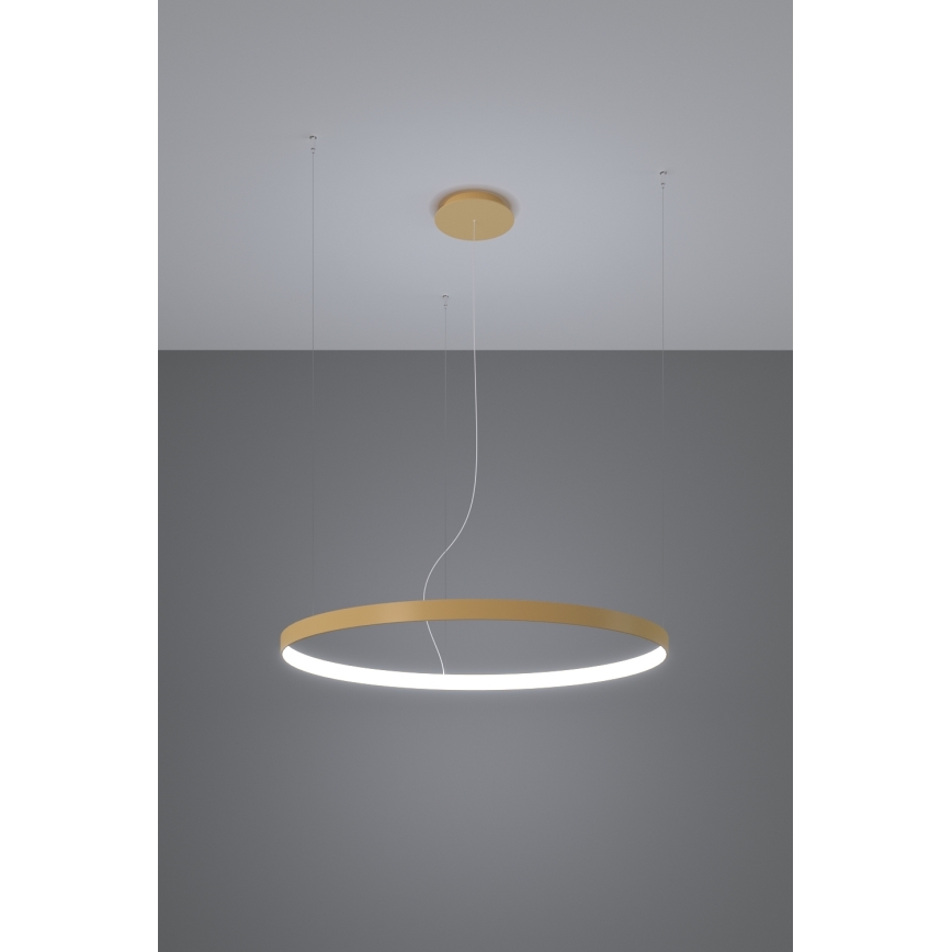 Thoro TH.181 - LED  Lámpara colgante RIO LED /50W/230V CRI 95 4000K diá. 78 cm dorado
