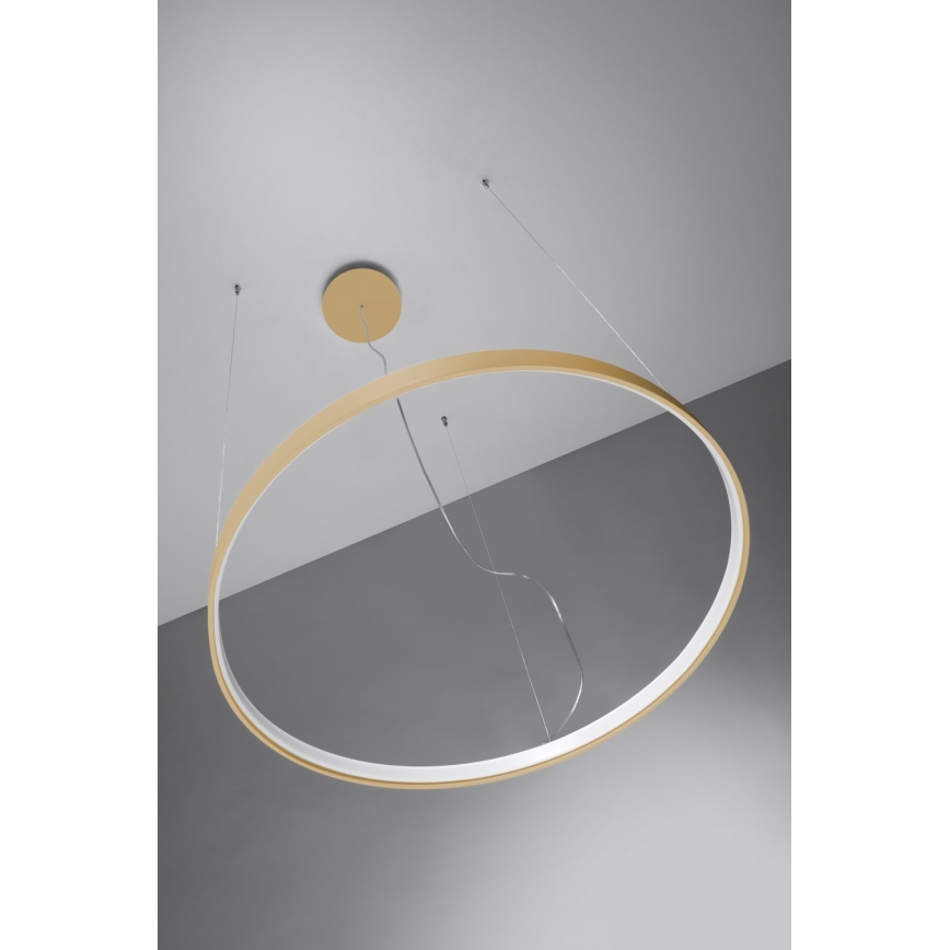 Thoro TH.181 - LED  Lámpara colgante RIO LED /50W/230V CRI 95 4000K diá. 78 cm dorado