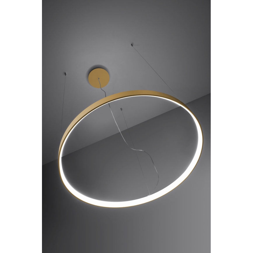 Thoro TH.181 - LED  Lámpara colgante RIO LED /50W/230V CRI 95 4000K diá. 78 cm dorado