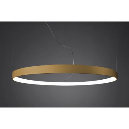 Thoro TH.181 - LED  Lámpara colgante RIO LED /50W/230V CRI 95 4000K diá. 78 cm dorado