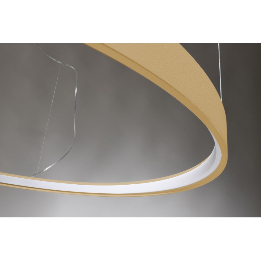 Thoro TH.181 - LED  Lámpara colgante RIO LED /50W/230V CRI 95 4000K diá. 78 cm dorado