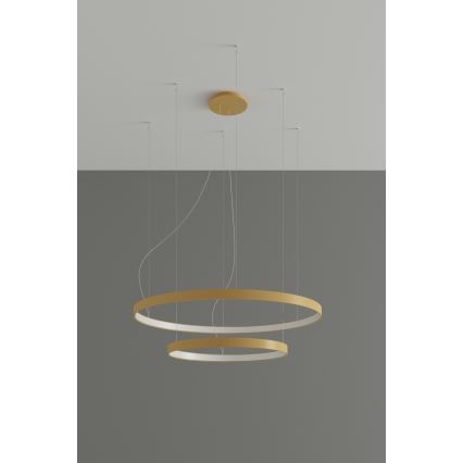 Thoro TH.214 - Lámpara LED colgante RIO LED/80W/230V CRI 90 3000K dorado