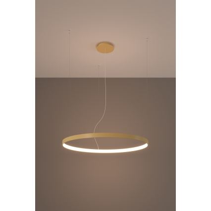 Thoro TH.216 - Lámpara LED colgante RIO LED/30W/230V CRI 90 3000K diá. 55 cm dorado