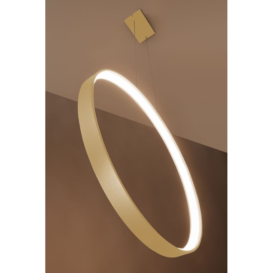 Thoro TH.220 - Lámpara LED colgante RIO LED/30W/230V CRI 90 3000K diá. 55 cm dorado