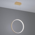Thoro TH.221 - Lámpara LED colgante RIO LED/30W/230V CRI 95 4000K diá. 55 cm dorado