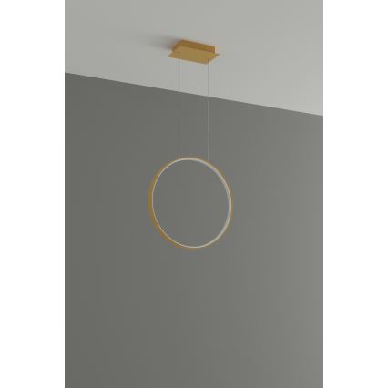 Thoro TH.221 - Lámpara LED colgante RIO LED/30W/230V CRI 95 4000K diá. 55 cm dorado