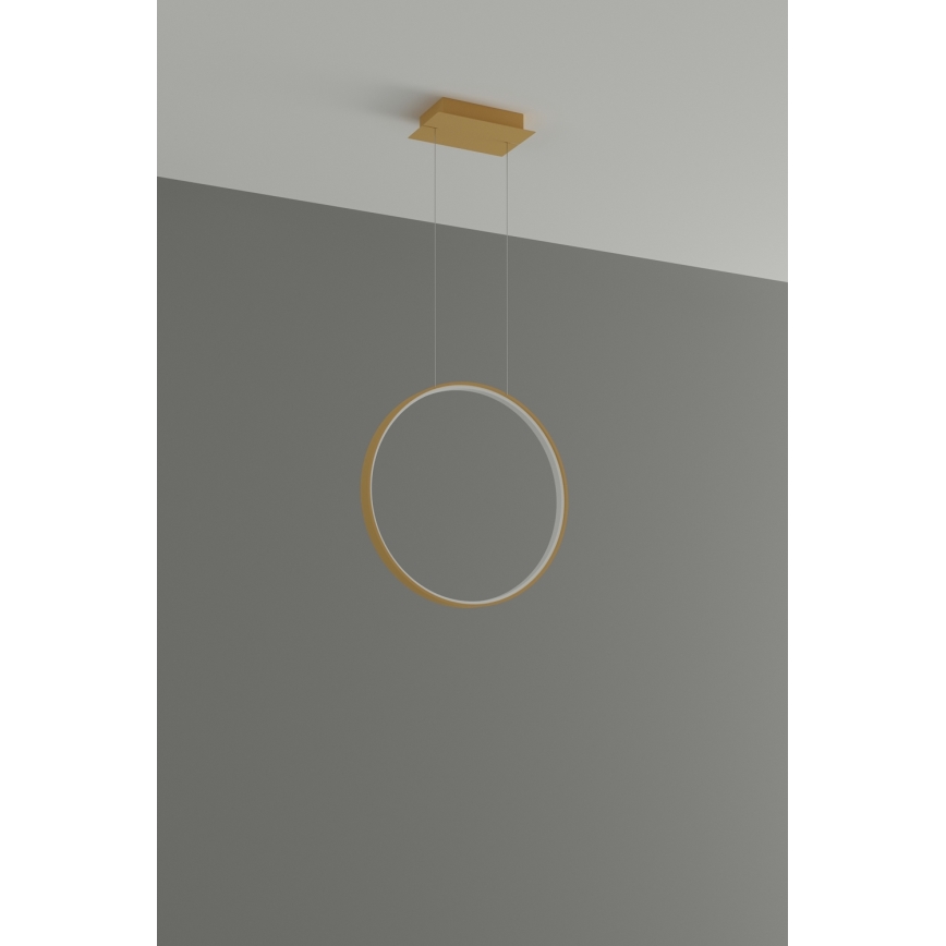 Thoro TH.221 - Lámpara LED colgante RIO LED/30W/230V CRI 95 4000K diá. 55 cm dorado
