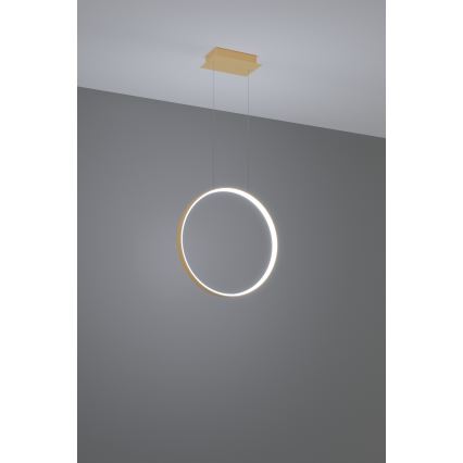 Thoro TH.221 - Lámpara LED colgante RIO LED/30W/230V CRI 95 4000K diá. 55 cm dorado