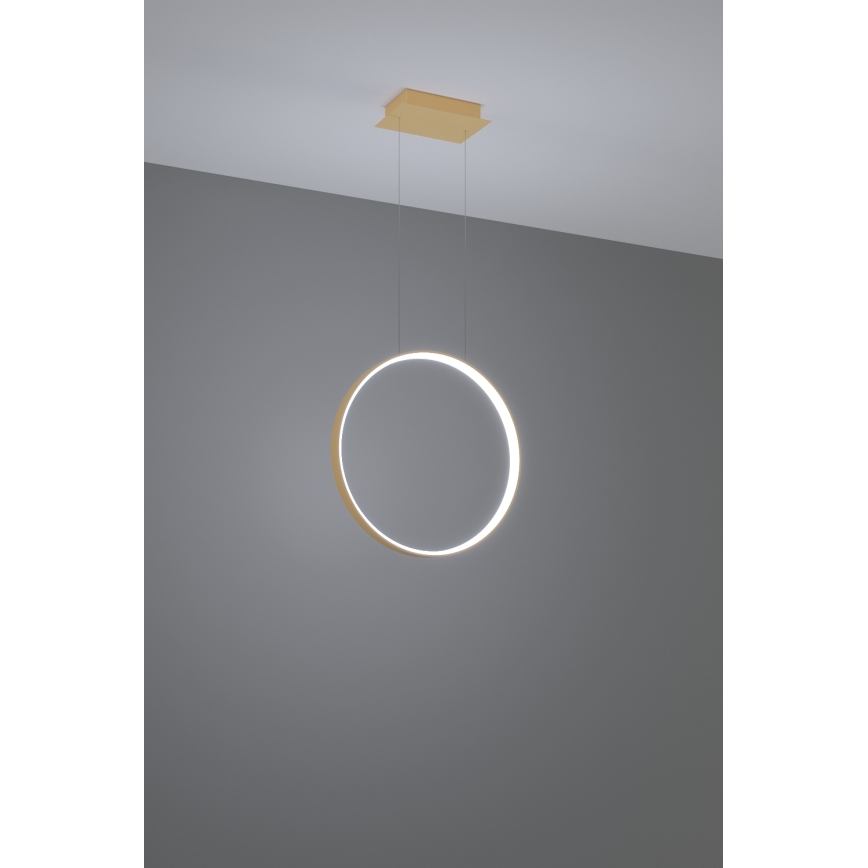 Thoro TH.221 - Lámpara LED colgante RIO LED/30W/230V CRI 95 4000K diá. 55 cm dorado