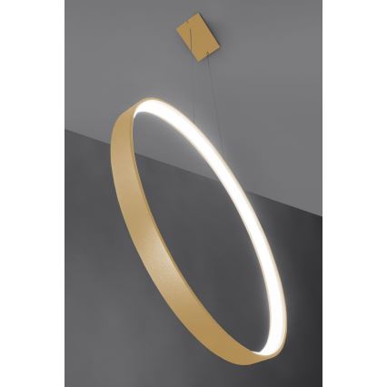 Thoro TH.221 - Lámpara LED colgante RIO LED/30W/230V CRI 95 4000K diá. 55 cm dorado