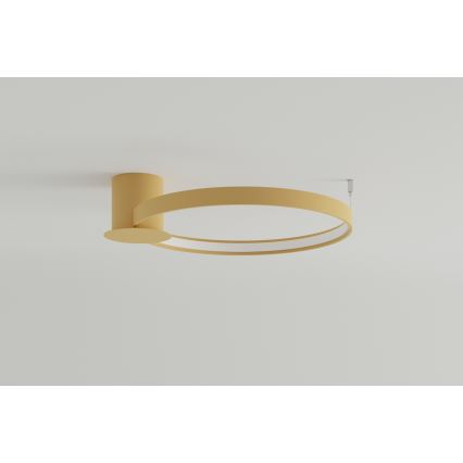 Thoro TH.222 - Plafón LED RIO LED/30W/230V CRI 90 3000K diá. 55 cm dorado