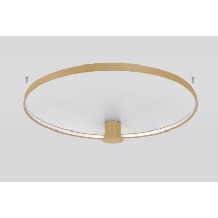 Thoro TH.222 - Plafón LED RIO LED/30W/230V CRI 90 3000K diá. 55 cm dorado