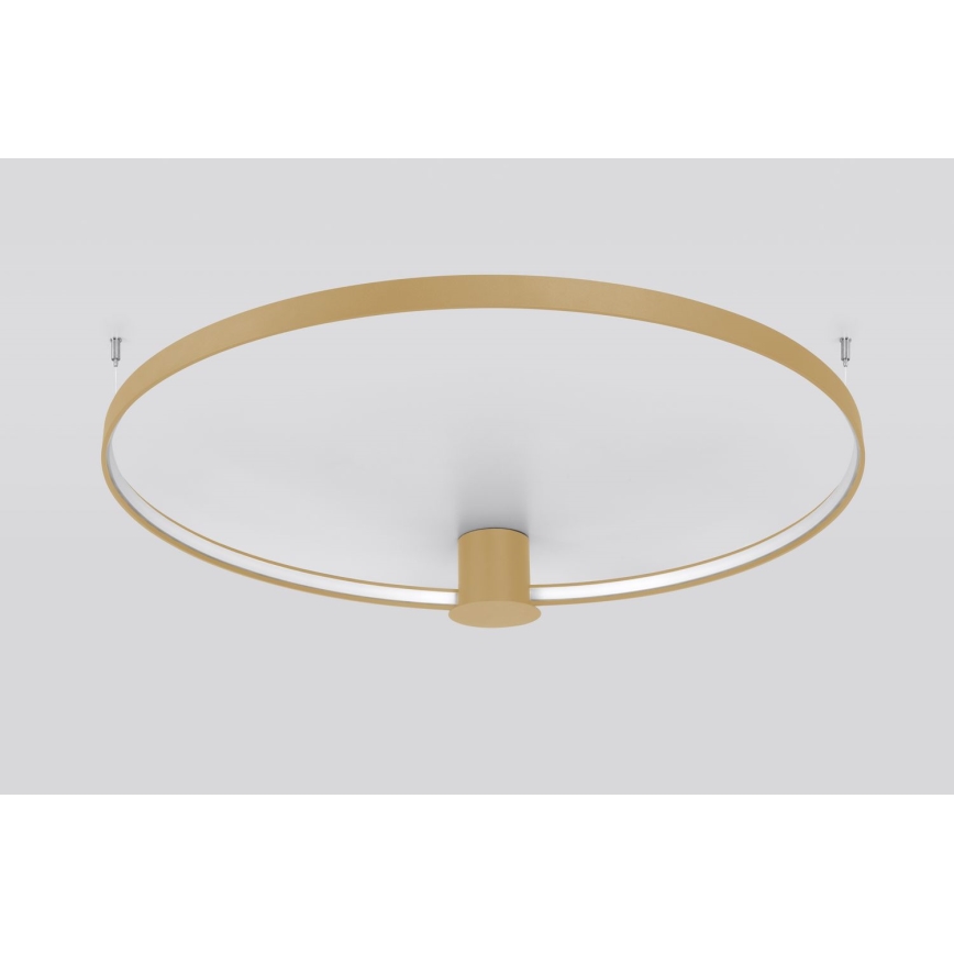 Thoro TH.222 - Plafón LED RIO LED/30W/230V CRI 90 3000K diá. 55 cm dorado