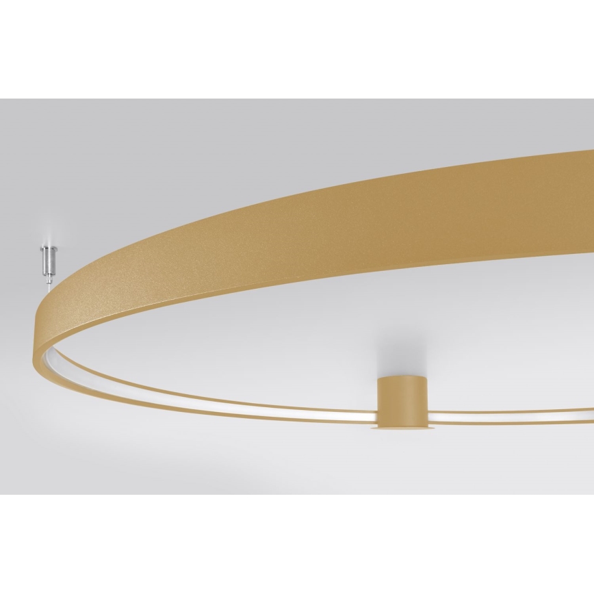 Thoro TH.222 - Plafón LED RIO LED/30W/230V CRI 90 3000K diá. 55 cm dorado