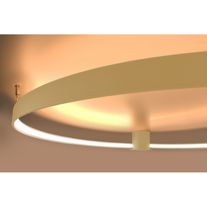 Thoro TH.222 - Plafón LED RIO LED/30W/230V CRI 90 3000K diá. 55 cm dorado