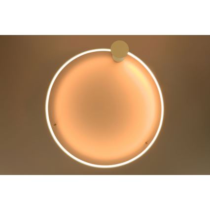 Thoro TH.222 - Plafón LED RIO LED/30W/230V CRI 90 3000K diá. 55 cm dorado