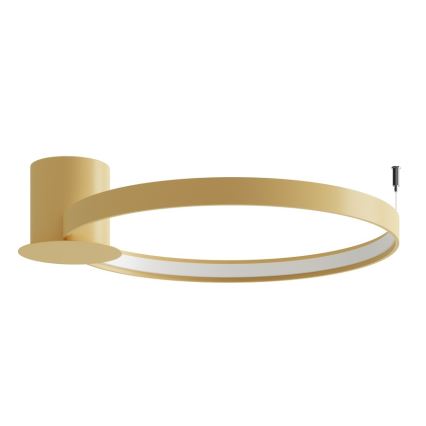 Thoro TH.223 - Luminaria de techo LED RIO LED/30W/230V CRI 98 4000K, Ø 55 cm, acabado dorado