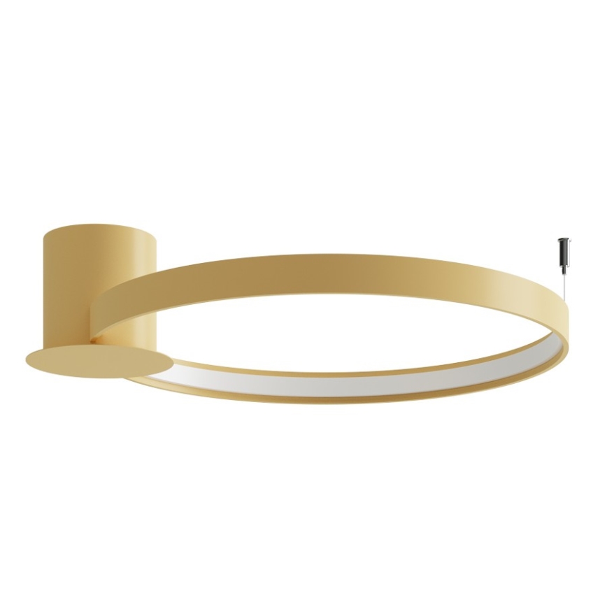 Thoro TH.223 - Luminaria de techo LED RIO LED/30W/230V CRI 98 4000K, Ø 55 cm, acabado dorado