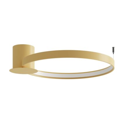 Thoro TH.223 - Plafón LED RIO LED/30W/230V CRI 95 4000K diá. 55 cm dorado