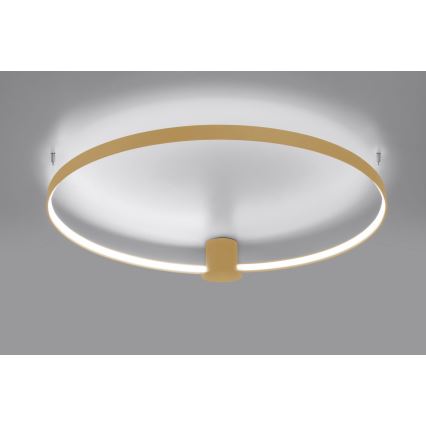 Thoro TH.223 - Plafón LED RIO LED/30W/230V CRI 95 4000K diá. 55 cm dorado