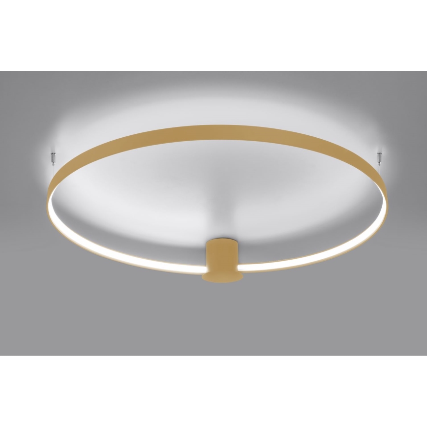 Thoro TH.223 - Plafón LED RIO LED/30W/230V CRI 95 4000K diá. 55 cm dorado