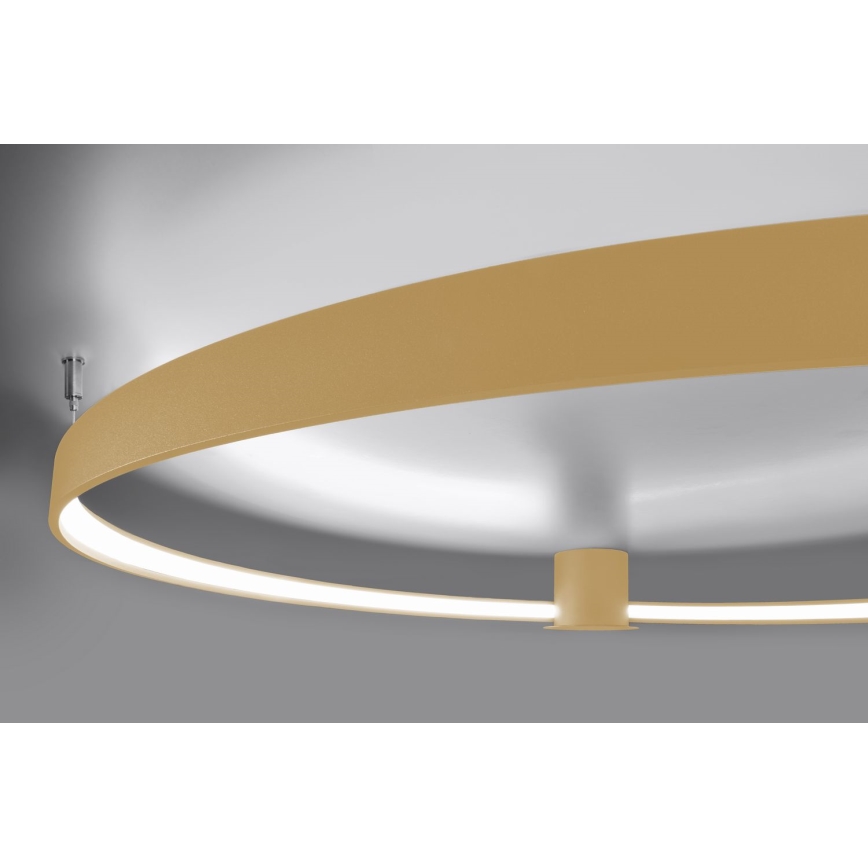 Thoro TH.223 - Plafón LED RIO LED/30W/230V CRI 95 4000K diá. 55 cm dorado