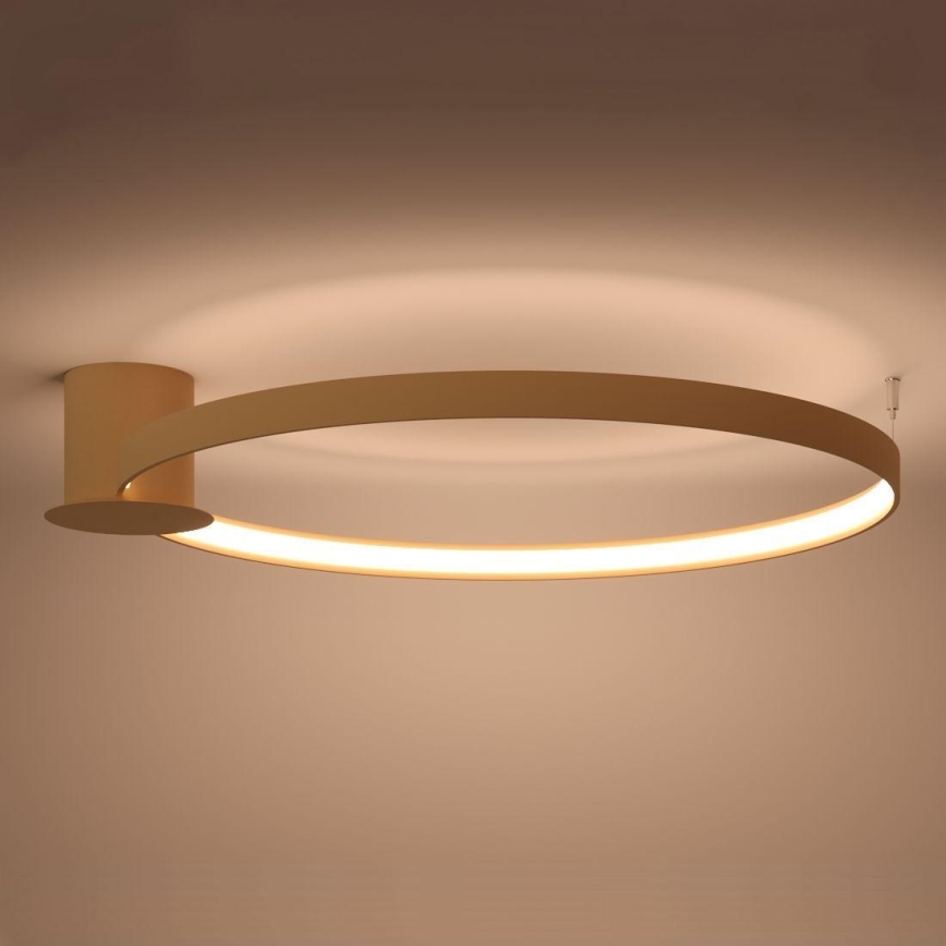 Thoro TH.224 - Plafón LED RIO LED/50W/230V CRI 90 3000K diá. 78 cm dorado