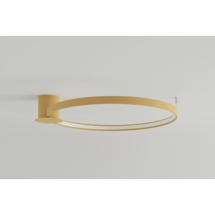 Thoro TH.224 - Plafón LED RIO LED/50W/230V CRI 90 3000K diá. 78 cm dorado