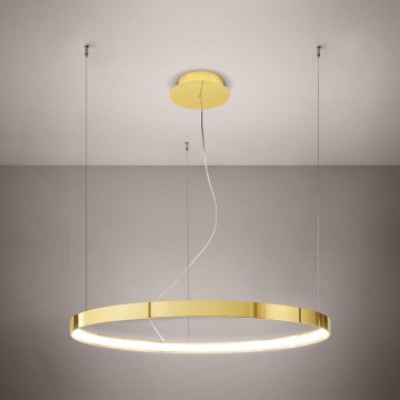 Thoro TH.246 - Lámpara LED colgante RIO LED/50W/230V CRI 90 3000K diá. 78 cm dorado