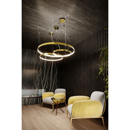 Thoro TH.246 - Lámpara LED colgante RIO LED/50W/230V CRI 90 3000K diá. 78 cm dorado