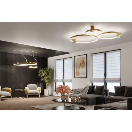 Thoro TH.246 - Lámpara LED colgante RIO LED/50W/230V CRI 90 3000K diá. 78 cm dorado