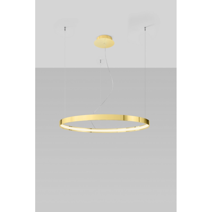 Thoro TH.246 - Lámpara LED colgante RIO LED/50W/230V CRI 90 3000K diá. 78 cm dorado