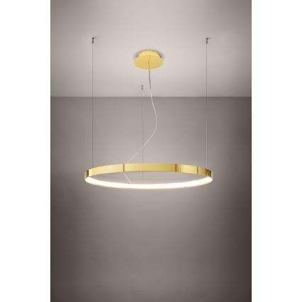 Thoro TH.246 - Lámpara LED colgante RIO LED/50W/230V CRI 90 3000K diá. 78 cm dorado