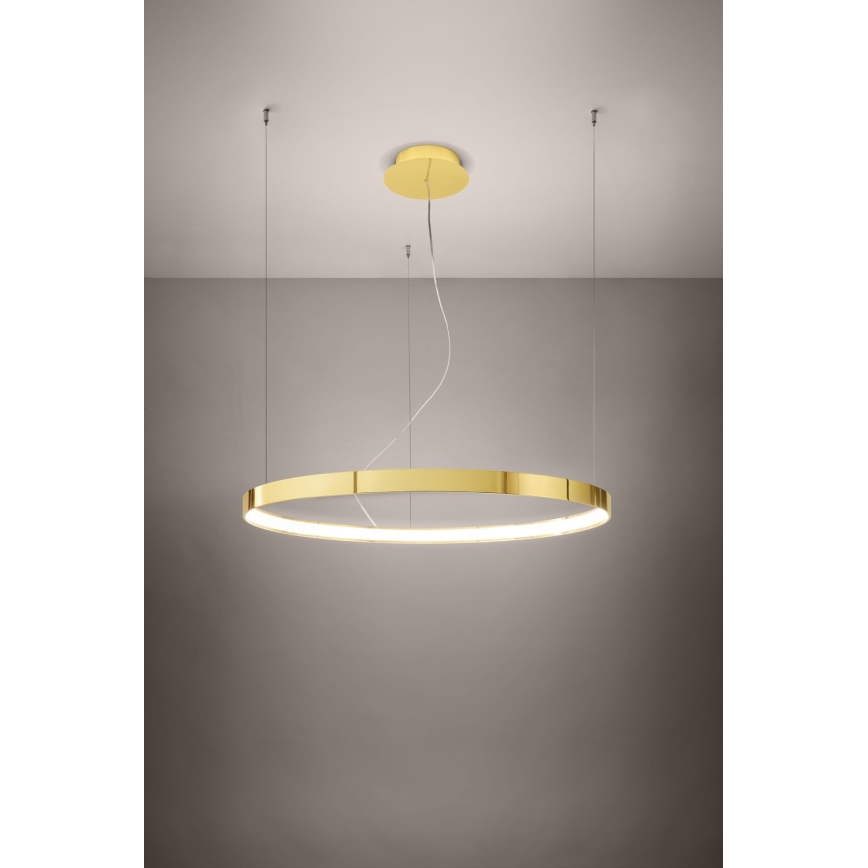 Thoro TH.246 - Lámpara LED colgante RIO LED/50W/230V CRI 90 3000K diá. 78 cm dorado
