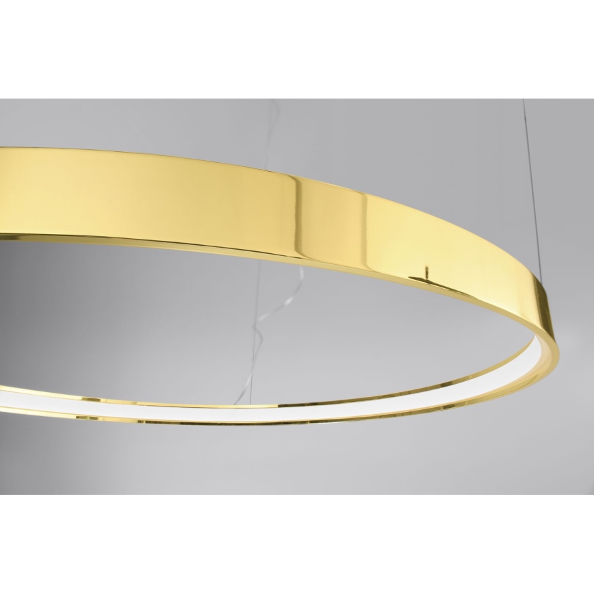 Thoro TH.246 - Lámpara LED colgante RIO LED/50W/230V CRI 90 3000K diá. 78 cm dorado