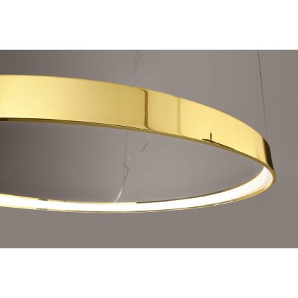 Thoro TH.246 - Lámpara LED colgante RIO LED/50W/230V CRI 90 3000K diá. 78 cm dorado