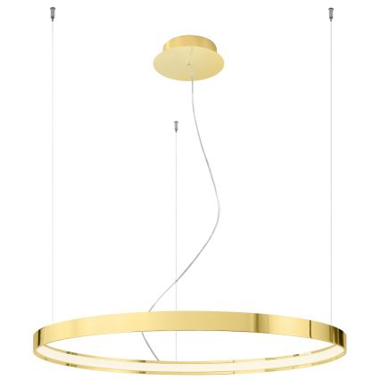 Thoro TH.246 - Lámpara LED colgante RIO LED/50W/230V CRI 90 3000K diá. 78 cm dorado