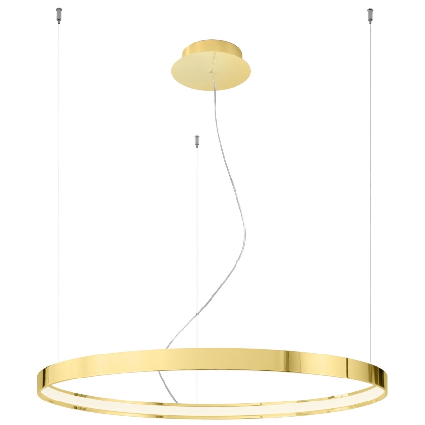 Thoro TH.246 - Lámpara LED colgante RIO LED/50W/230V CRI 90 3000K diá. 78 cm dorado