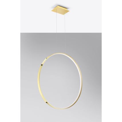 Thoro TH.248 - Lámpara LED colgante RIO LED/50W/230V CRI 90 3000K diá. 78 cm dorado