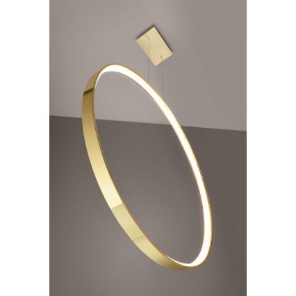 Thoro TH.248 - Lámpara LED colgante RIO LED/50W/230V CRI 90 3000K diá. 78 cm dorado