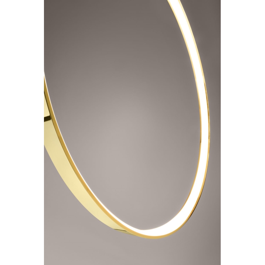Thoro TH.248 - Lámpara LED colgante RIO LED/50W/230V CRI 90 3000K diá. 78 cm dorado