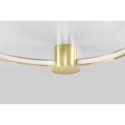 Thoro TH.252 - Plafón LED RIO LED/50W/230V CRI 90 3000K diá. 78 cm dorado