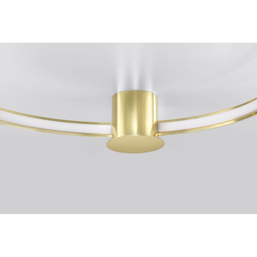 Thoro TH.252 - Plafón LED RIO LED/50W/230V CRI 90 3000K diá. 78 cm dorado