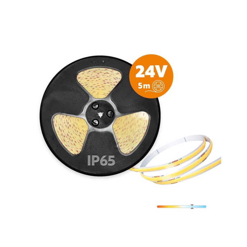 Tira LED exterior TRAMO LED/50W/24V 5m IP65 6500K