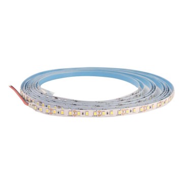 Tira LED regulable DAISY 5m blanco cálido