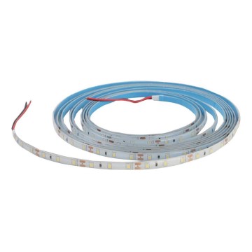Tira LED regulable para baño DAISY 5m blanco cálido IP65