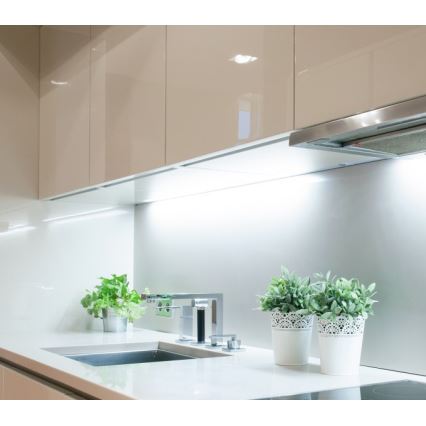 Tira LED TRAMO 500W/12V 50m 6500K