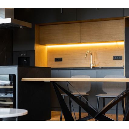 Tira LED TRAMO LED/500W/12V 50m 3000K