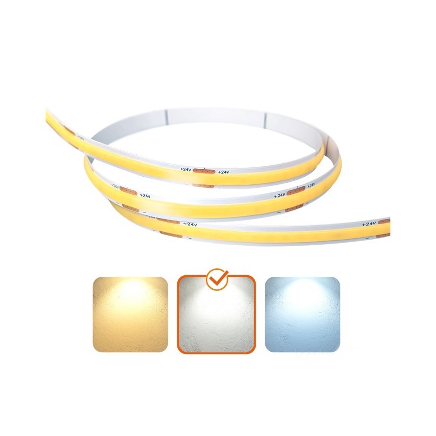 Tira LED TRAMO LED/500W/24V 50 m 4000K